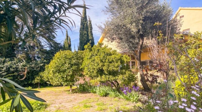 Barcelona - Sant Antoni de Vilamajor - 826m2