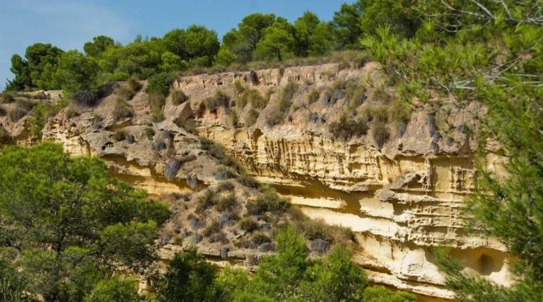 Alicante - Pilar de la Horadada - 300m2
