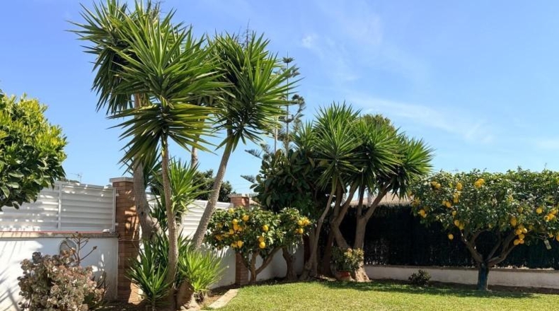 Tarragona - el Vendrell - 220m2