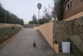 Sabadell 1909&nbsp;m²