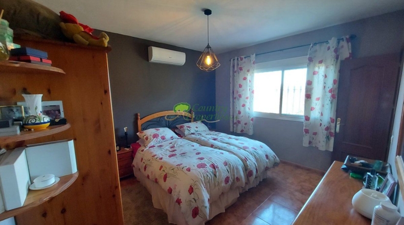 Málaga - Canillas de Aceituno - 1596m2