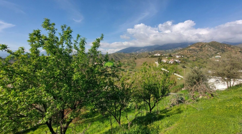 Málaga - Canillas de Aceituno - 3286m2