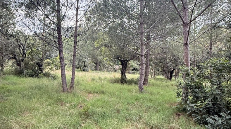 Castellón - Onda - 2737m2