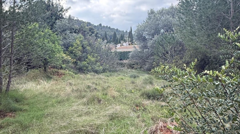 Castellón - Onda - 2737m2