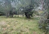 Terreny no urbanitzable en venda a Onda ref.: TR396228 foto