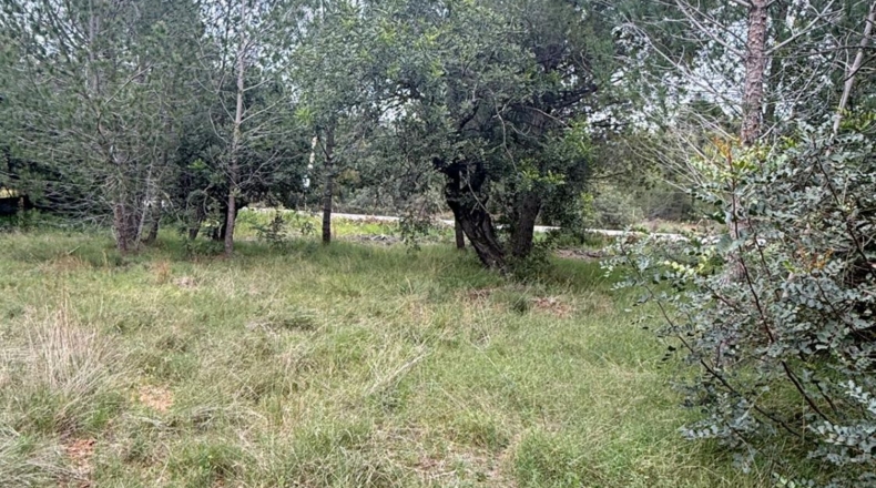 Castellón - Onda - 2737m2