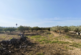 Camarles 8700&nbsp;m²