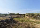 Finca rústica en venta en Camarles ref: TR396266 foto