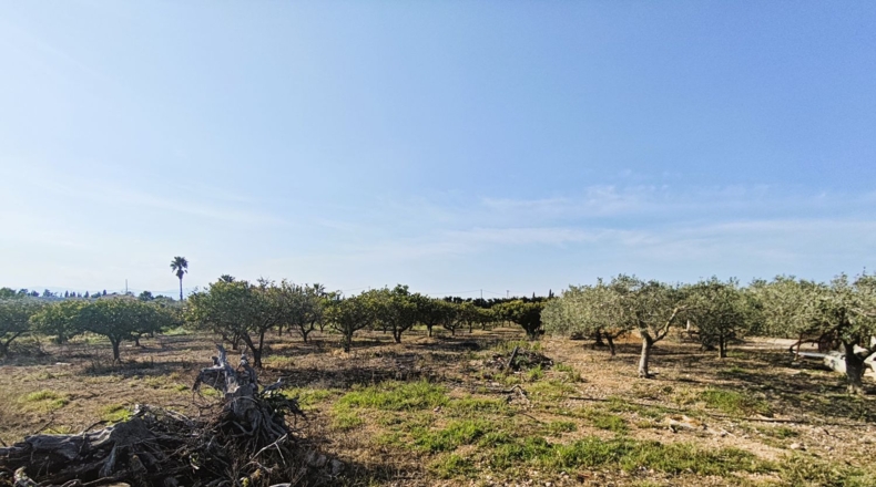 Tarragona - Camarles - 74m2