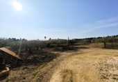 Finca rústica en venta en Camarles ref: TR396266 foto