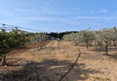 Finca rústica en venta en Camarles ref: TR396266 foto
