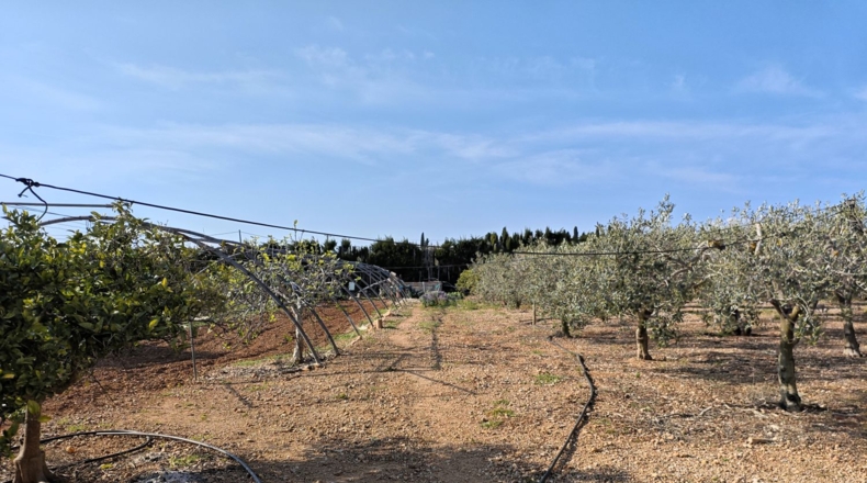 Tarragona - Camarles - 74m2