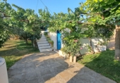 Rural estate for sale in Huesca ref: TR396262 photo