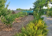 Rural estate for sale in Huesca ref: TR396262 photo