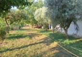 Rural estate for sale in Huesca ref: TR396262 photo