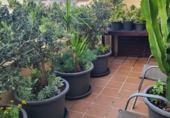 Дом с участком на продажу в городе Ayamonte. Фото