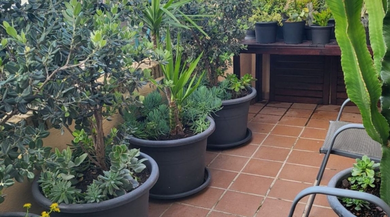 Huelva - Ayamonte - 190m2