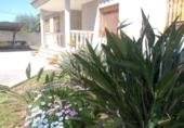 Xalet independent amb terreny en venda a Vila-real ref.: TR396258 foto