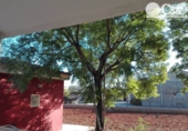 Xalet independent amb terreny en venda a Vila-real ref.: TR396258 foto