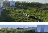 Terreny no urbanitzable en venda a la Carril Tortola, Chiclana de la Frontera, ref.: TR396224 foto
