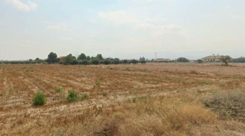 Sevilla - Lora del Río - 7000m2