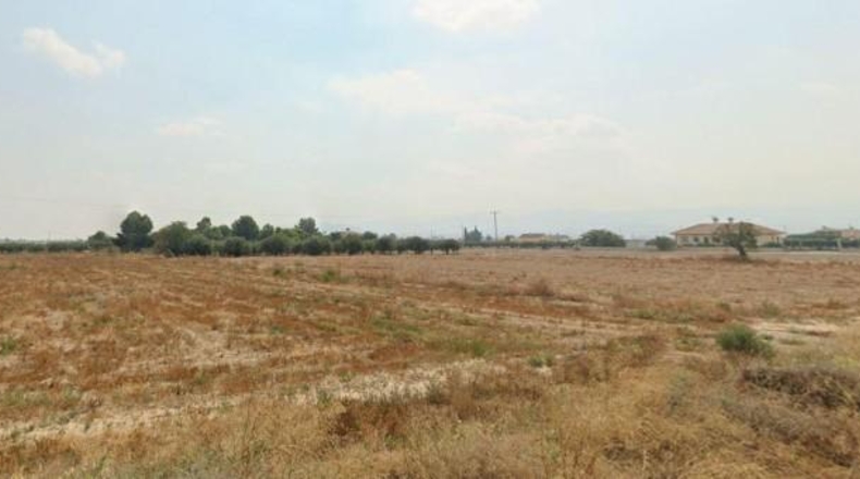 Sevilla - Lora del Río - 7000m2