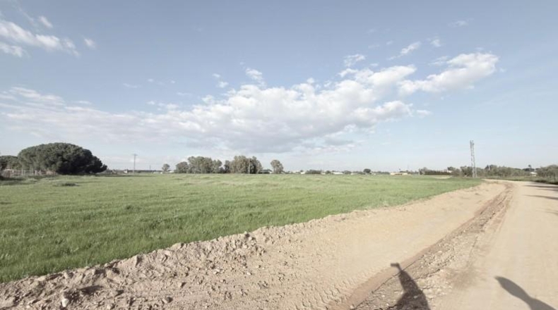 Huelva - Gibraleón - 69900m2