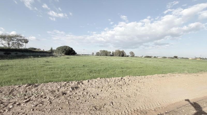 Huelva - Gibraleón - 69900m2