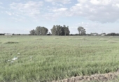 Non-developable land for sale on España, Gibraleón, ref: TR396435 photo