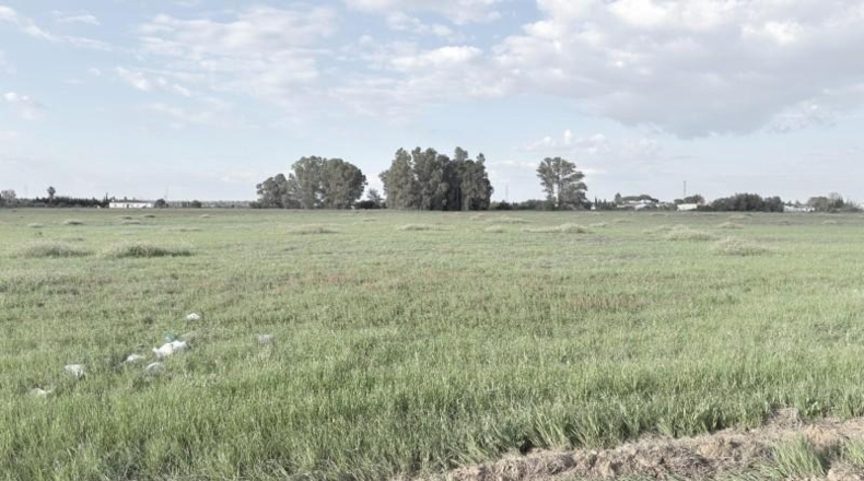 Huelva - Gibraleón - 69900m2