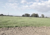 Non-developable land for sale on España, Gibraleón, ref: TR396435 photo