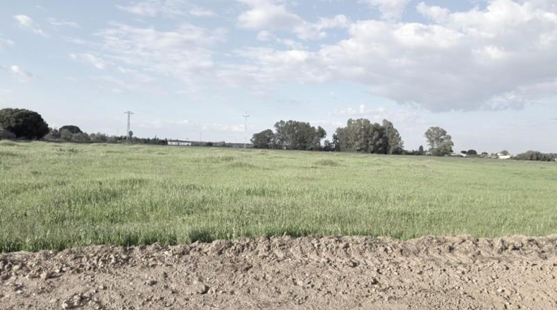 Huelva - Gibraleón - 69900m2