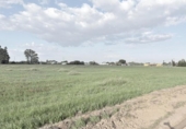 Non-developable land for sale on España, Gibraleón, ref: TR396435 photo
