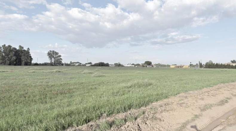 Huelva - Gibraleón - 69900m2