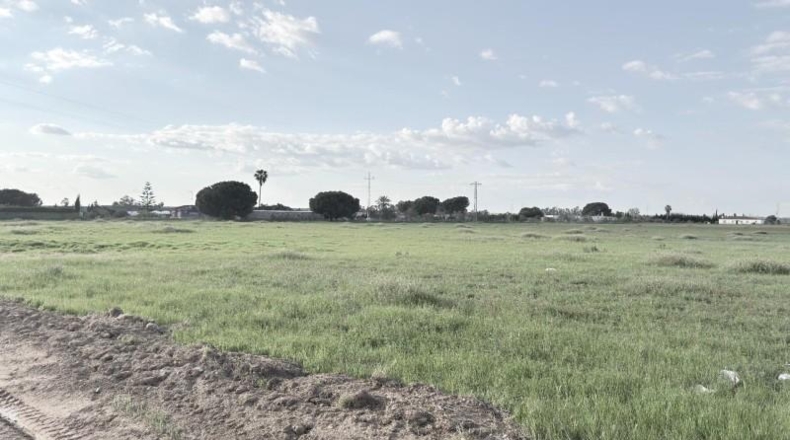 Huelva - Gibraleón - 69900m2