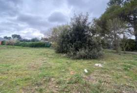 Nuevo Baztán 919&nbsp;m² 