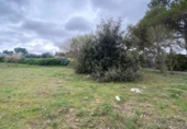 Terreny no urbanitzable en venda a la España, Nuevo Baztán, ref.: TR396434 foto