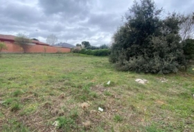 Nuevo Baztán 919&nbsp;m² 
