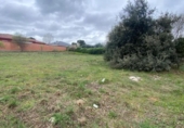 Terreny no urbanitzable en venda a la España, Nuevo Baztán, ref.: TR396434 foto