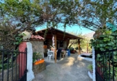 Country house with land for sale on España, Casas del Castañar, ref: TR397102 photo