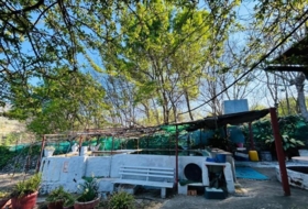 Casas del Castañar 1600&nbsp;m² 
