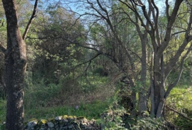 Casas del Castañar 1600&nbsp;m² 