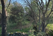 Country house with land for sale on España, Casas del Castañar, ref: TR397102 photo