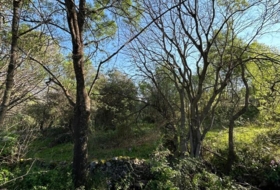 Casas del Castañar 1600&nbsp;m² 
