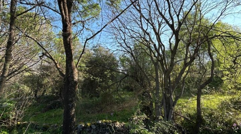 Caceres - Casas del Castañar - 1600m2