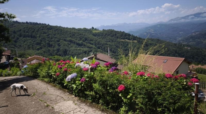 Asturias - Mieres - 78m2