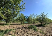 Terreny no urbanitzable en venda a la España, Herreruela de Oropesa, ref.: TR396427 foto