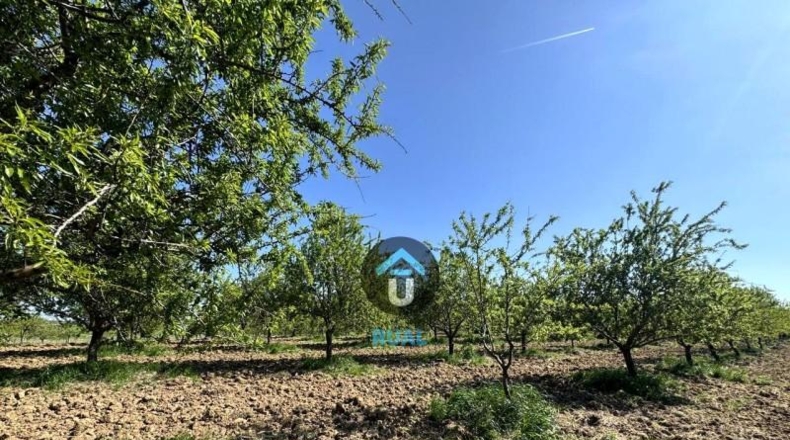 Toledo - Herreruela de Oropesa - 107299m2
