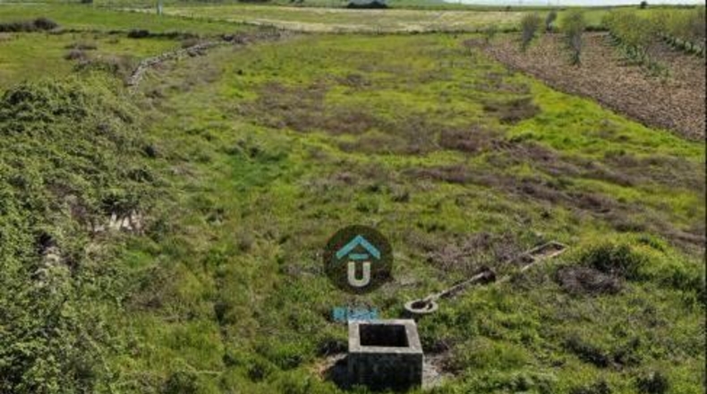 Toledo - Herreruela de Oropesa - 107299m2