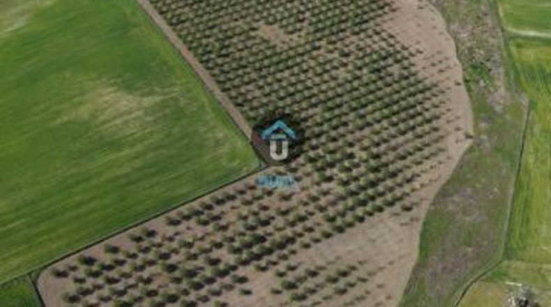 Toledo - Herreruela de Oropesa - 107299m2